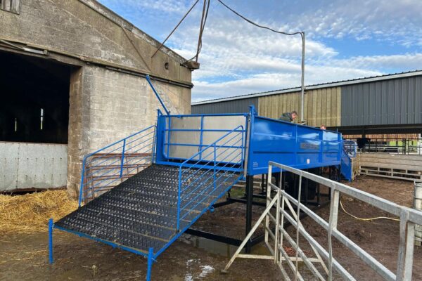 482000230_603910075952709_7903446830078210889_n