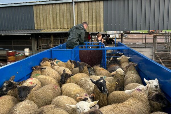 482031928_603910395952677_3289822813600816283_n